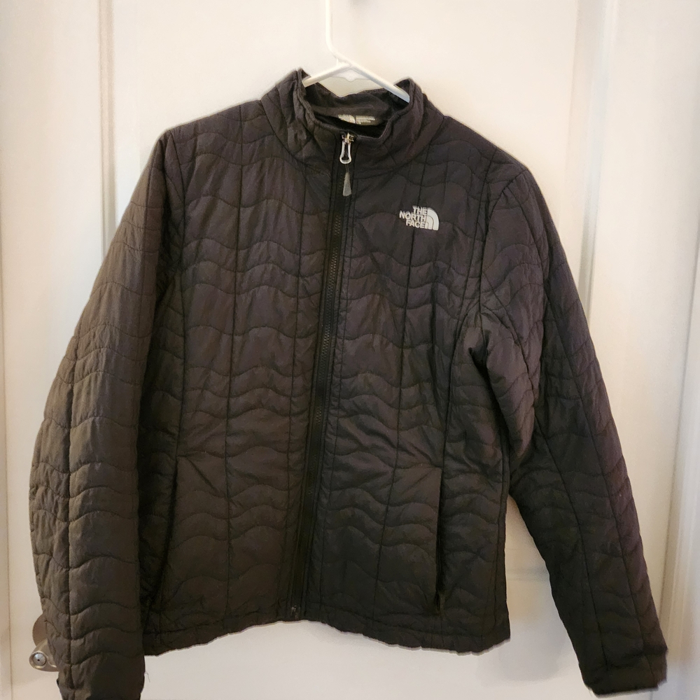 The North Face Black Quilted Jacket